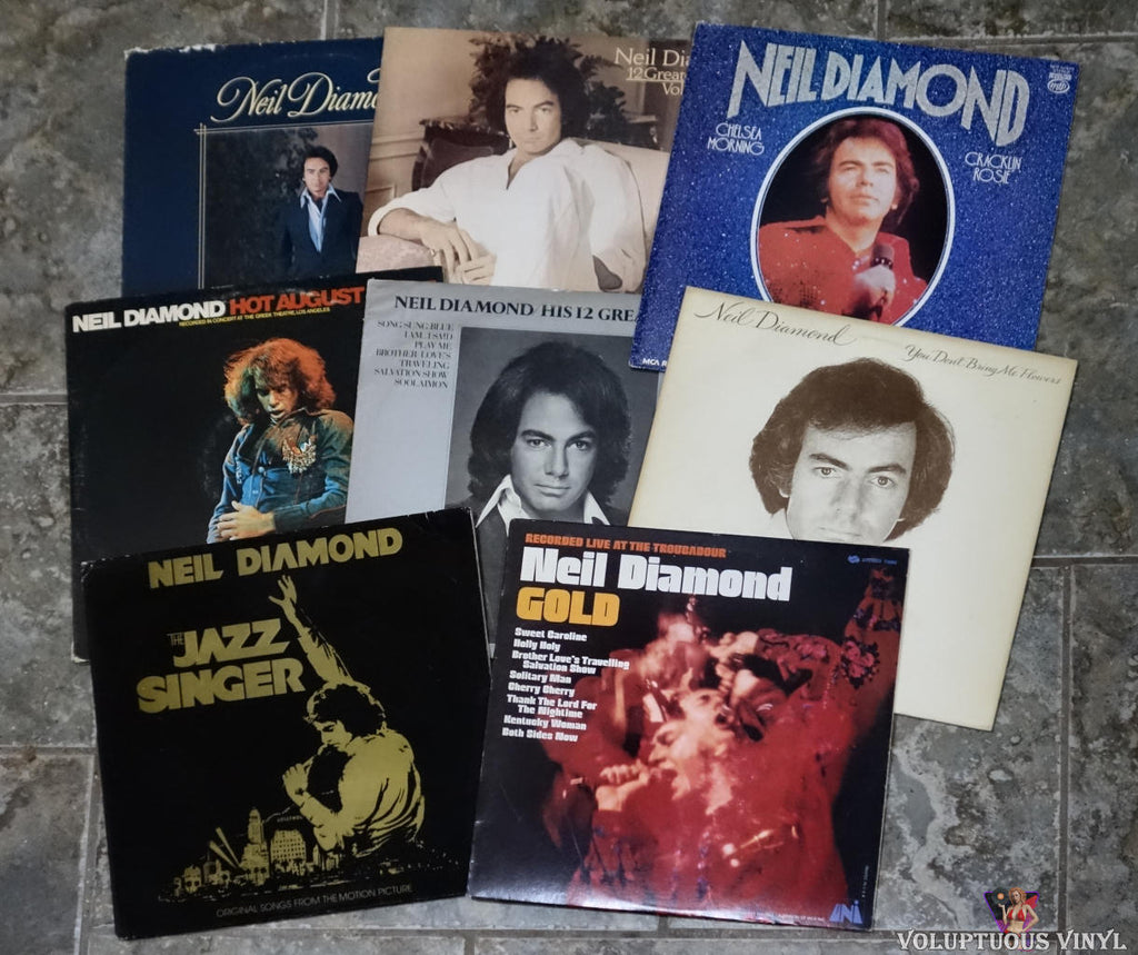 Neil Diamond vinyl record bundle lot