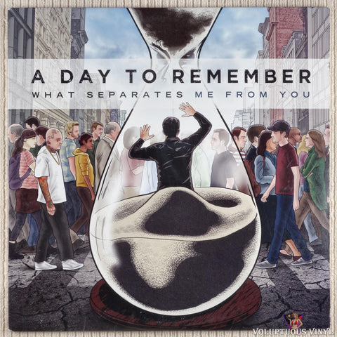A Day To Remember ‎– What Separates Me From You vinyl record front cover