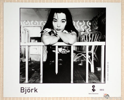 Björk - Elektra Entertainment - 1995 Promotional Photo