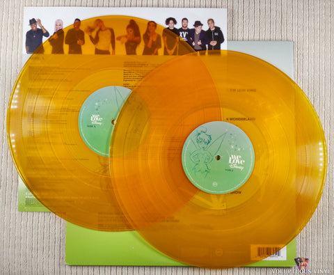 Various – We Love Disney vinyl record