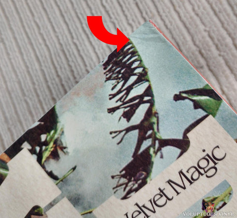 Devil's Witches ‎– Velvet Magic vinyl record back cover corner