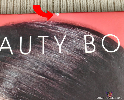 Kenneth Willardt - The Beauty Book (2014) Hardcover, Autographed front cover nick