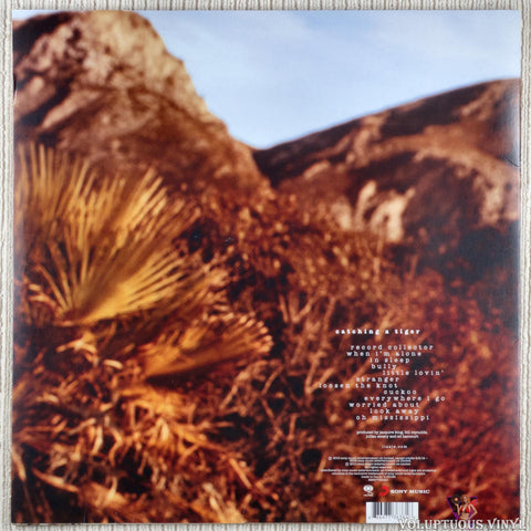 Lissie – Catching A Tiger vinyl record back cover