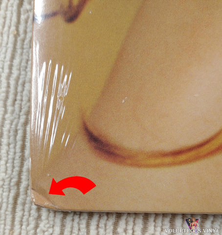 Madonna – Frozen vinyl record front cover bottom left corner