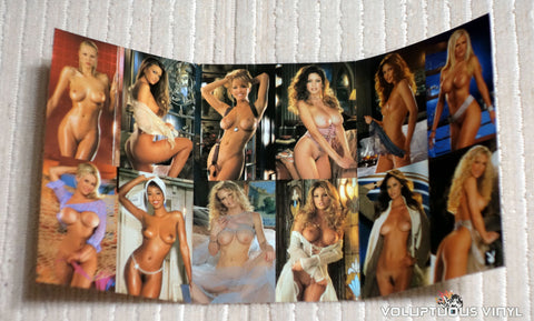 Playboy Video Playmate Calendar 2002 - Pocket Calendar