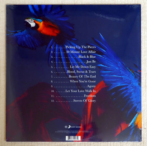 Paloma Faith – Fall To Grace vinyl record back cover