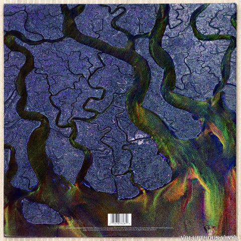 Alt-J ‎– An Awesome Wave vinyl record back cover