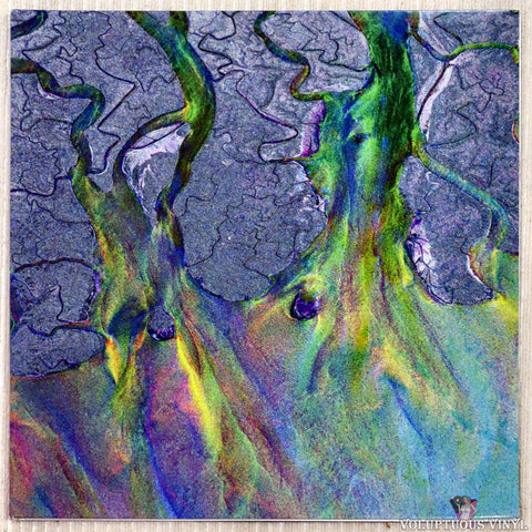Alt-J ‎– An Awesome Wave vinyl record front cover