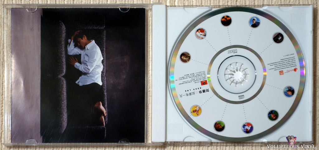 Andy Lau 劉德華‎– If One Day 如果有一天(2003) Cd, Hdcd, Album – Voluptuous Vinyl  Records