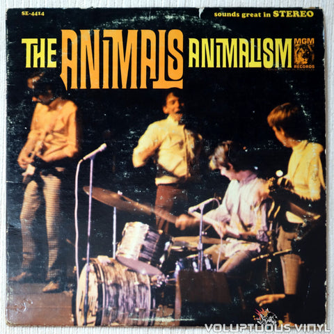 The Animals ‎– Animalism vinyl record front cover