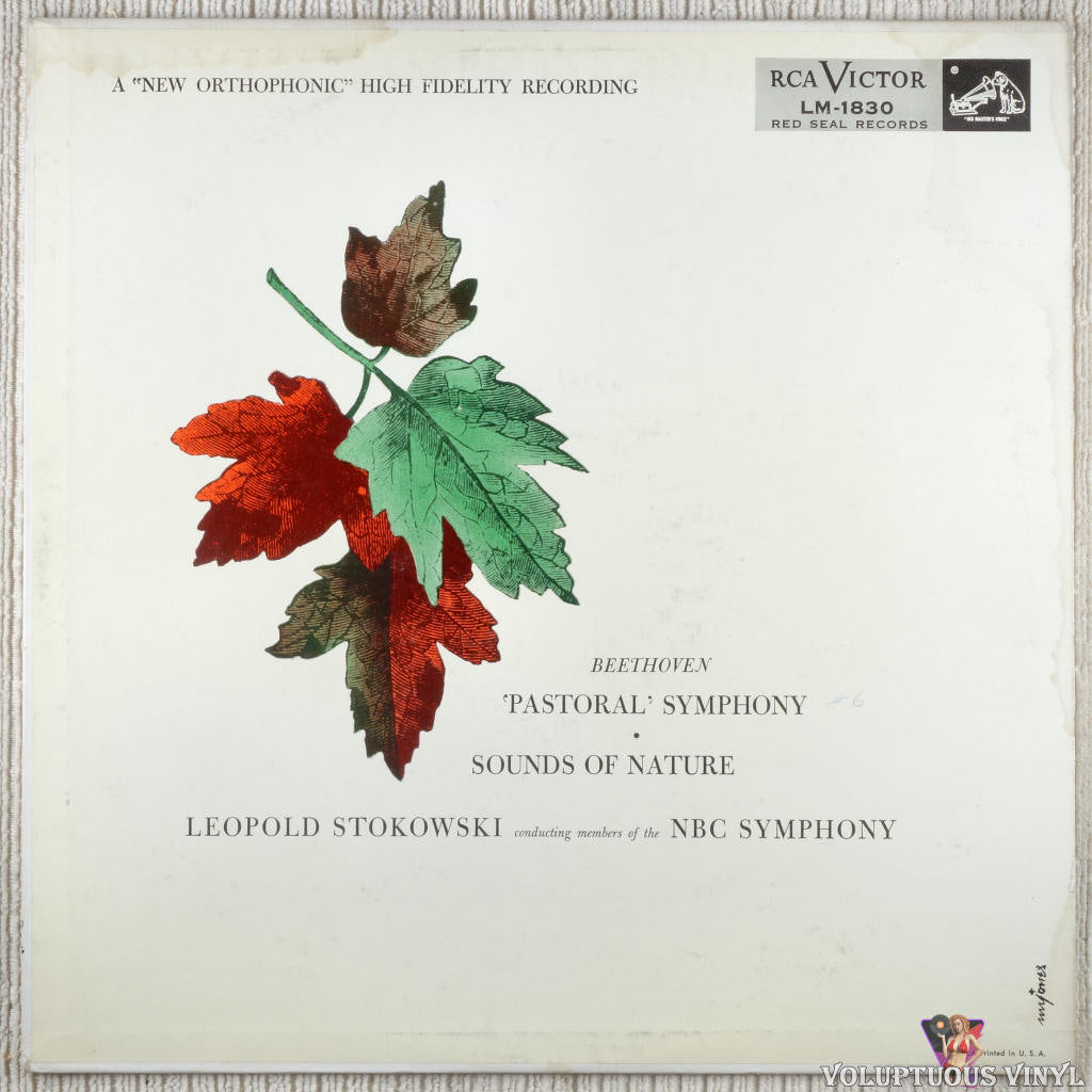 Beethoven - Leopold Stokowski Conducting Members Of The NBC Symphony – 'Pastoral' Symphony • Sounds Of Nature vinyl record front cover