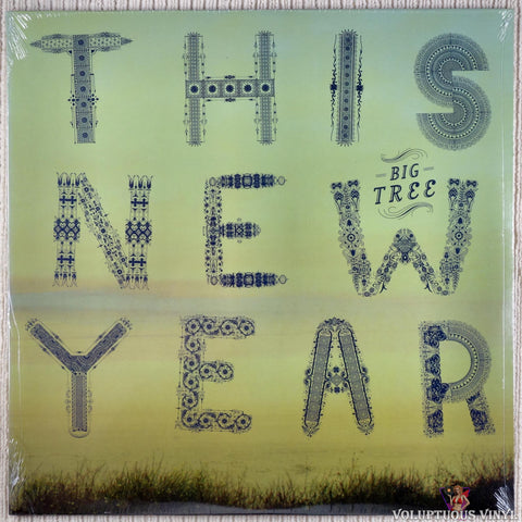 Big Tree ‎– This New Year vinyl record front cover