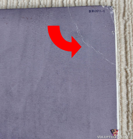 Blakroc ‎– Blakroc vinyl record front cover top right corner