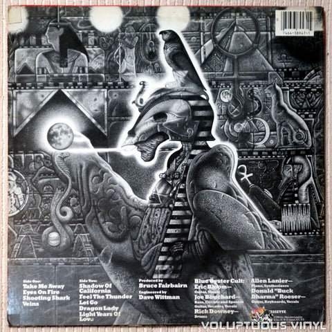 Blue Öyster Cult ‎– The Revölution By Night - Vinyl Record - Back Cover