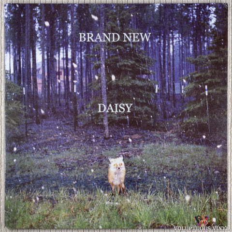 Brand New ‎– Daisy vinyl record front cover
