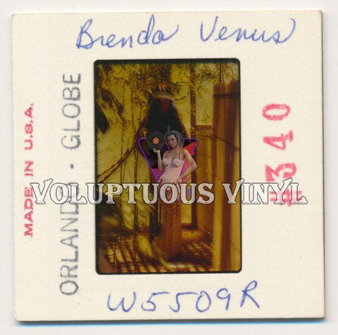 Brenda Venus Covered Topless 1960's Color Transparency