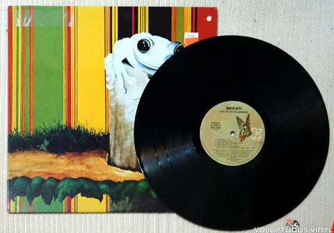 Brigati ‎– Lost In The Wilderness - Vinyl Record