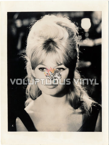 Please, Not Now! - Brigitte Bardot Black Dress