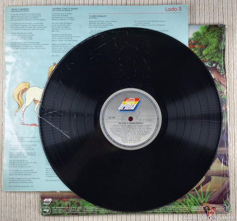 Bronco ‎– Salvaje Y Tierno vinyl record