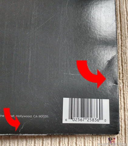 Calum Scott ‎– Only Human vinyl record back cover bottom right corner section