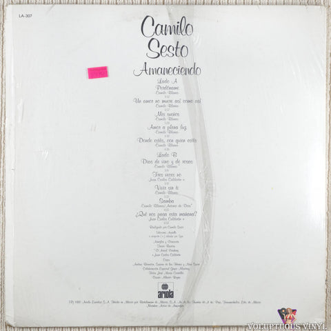 Camilo Sesto – Amaneciendo vinyl record back cover