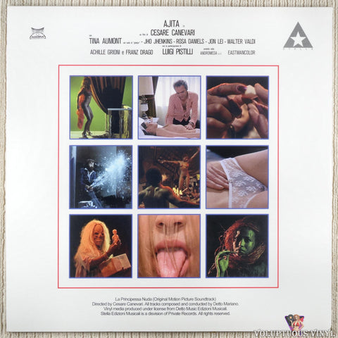 Detto Mariano, Dallaglio – La Principessa Nuda vinyl record back cover