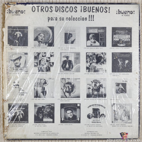 Flor Silvestre ‎– Flor Silvestre vinyl record back cover