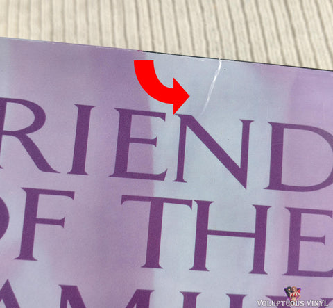 Friend of the Family LaserDisc back cover top seam