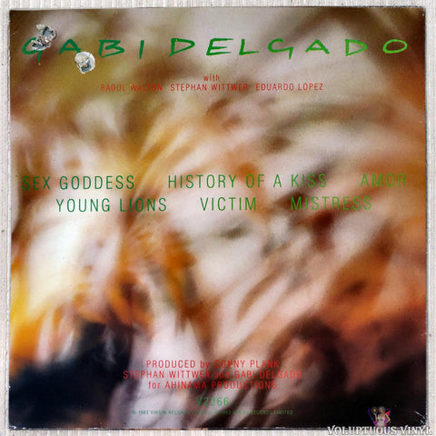 Gabi Delgado ‎– Mistress vinyl record back cover