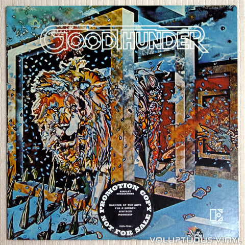 Goodthunder – Goodthunder (1972) Promo