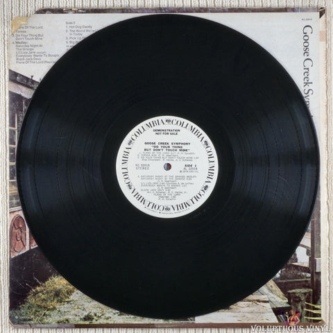 Goose Creek Symphony – "Do Your Thing But Don't Touch Mine" vinyl record