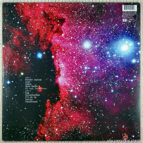 Highly Suspect ‎– Mister Asylum vinyl record back cover