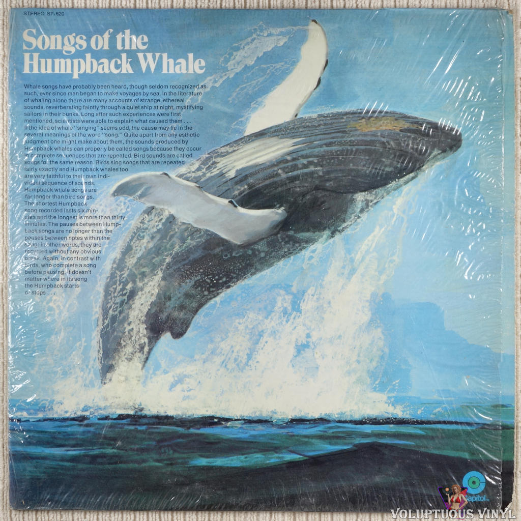 Humpback Whale ‎– Songs Of The Humpback Whale vinyl record front cover