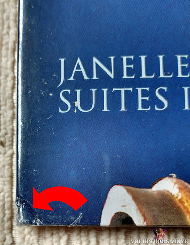 Janelle Monáe ‎– The Archandroid vinyl record front cover bottom left corner