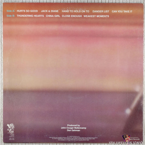 John Cougar Mellencamp – American Fool vinyl record back cover