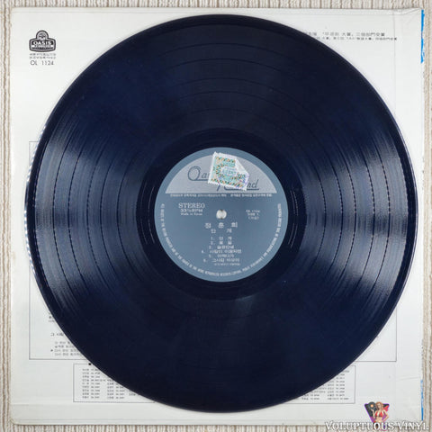 Jung Hoon Hee 정훈희 – Hit Song Summary 히트송 총결산집 vinyl record