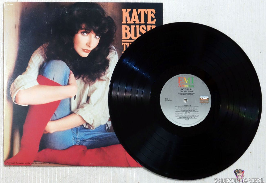Kate Bush ‎– The Kick Inside (1978) Vinyl, LP, Album – Voluptuous Vinyl ...