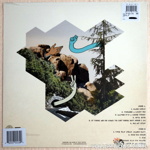KT Tunstall ‎– KIN - Vinyl Record - Back Cover