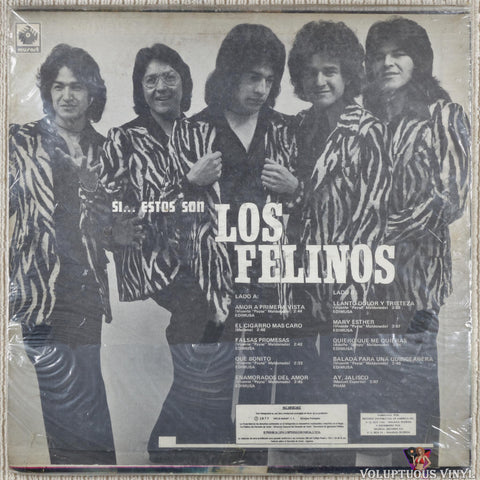 Los Felinos – Si... Estos Son vinyl record back cover