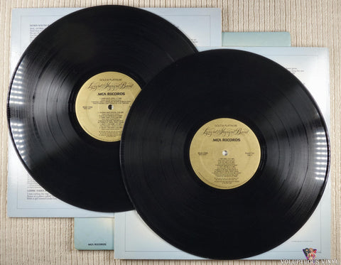Lynyrd Skynyrd – Gold & Platinum vinyl record