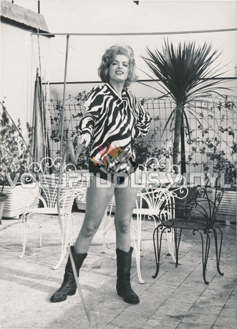 Margaret Lee - 1960's Porch Glamour With Whip Photograph