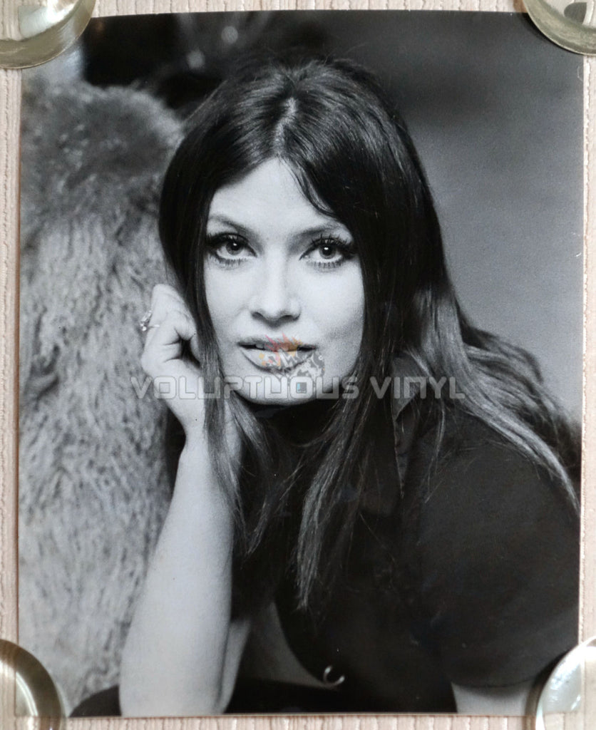 Marisa Mell Head Shot Photo 1
