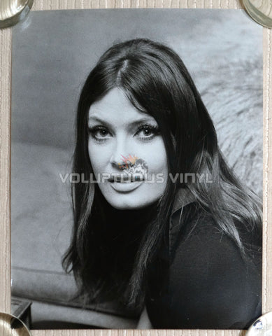 Marisa Mell Head Shot Photo 6