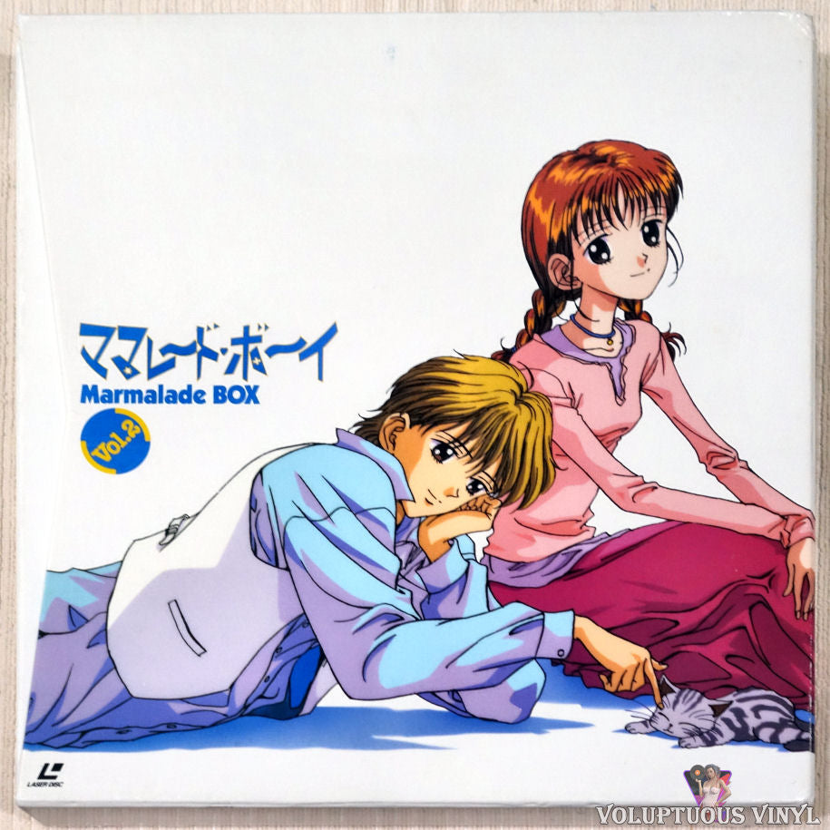 El-Hazard (OVA) Vol.2 - Laserdisc - LD - anime | Shopee Philippines