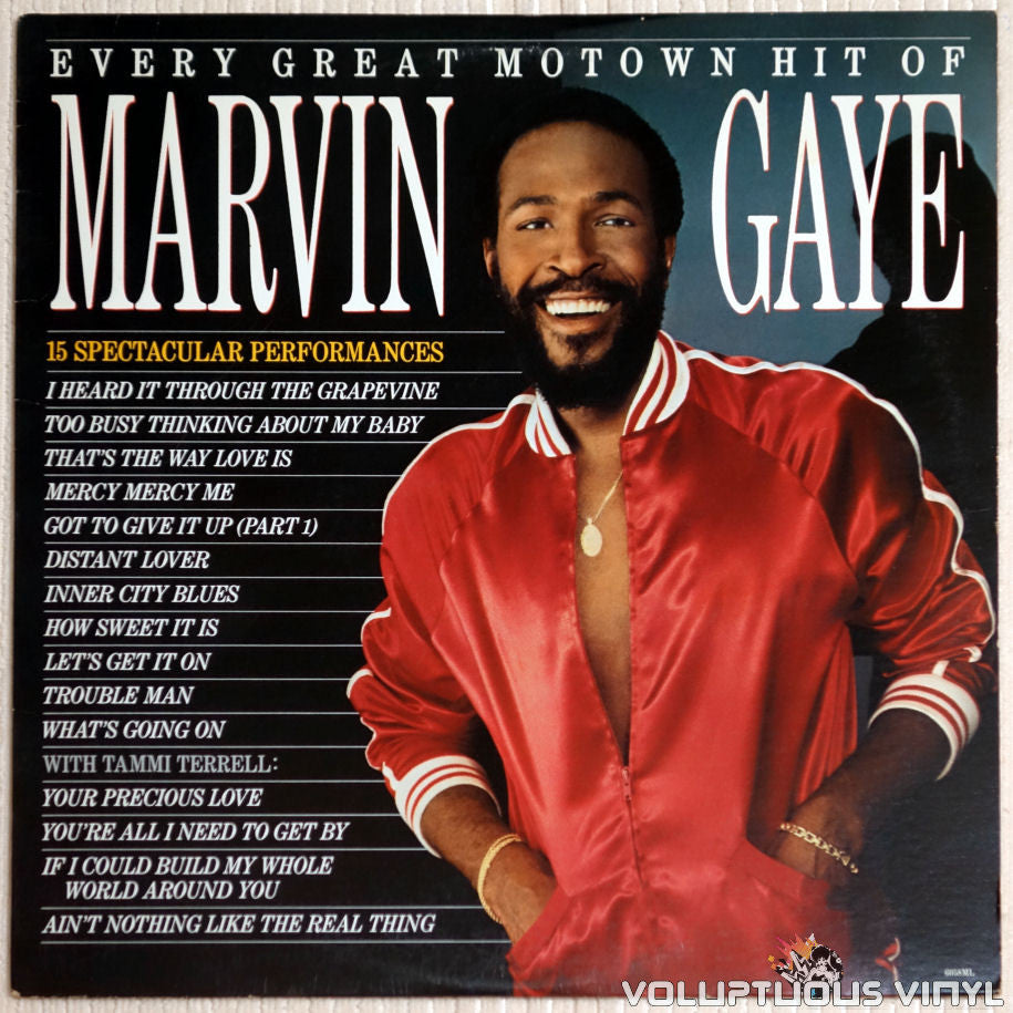 Marvin Gaye ‎– Every Great Motown Hit Of Marvin Gaye - Vinyl Record - Front Cover