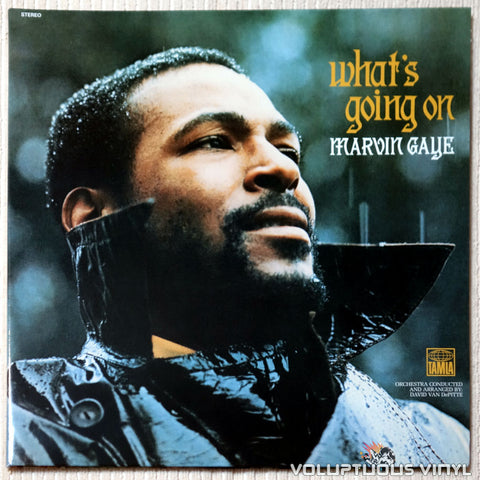 Marvin Gaye – What's Going On vinyl record front cover