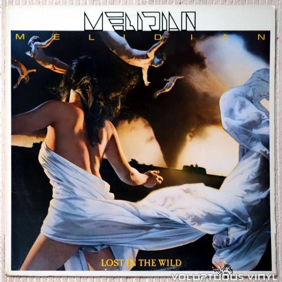 Melidian ‎– Lost In The Wild vinyl record front cover