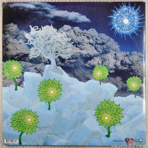 Of Montreal ‎– The Sunlandic Twins vinyl record back cover