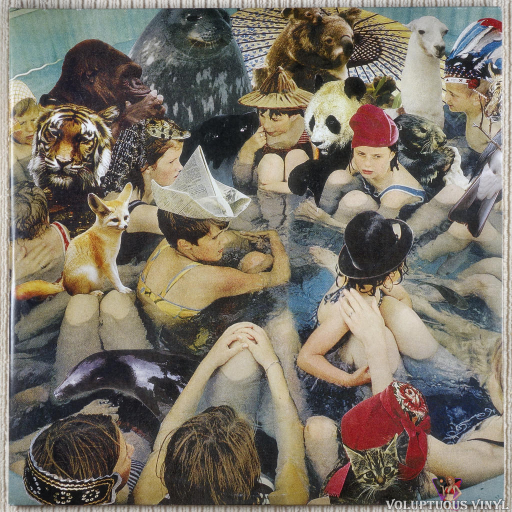 Panda Bear ‎– Person Pitch vinyl record front cover
