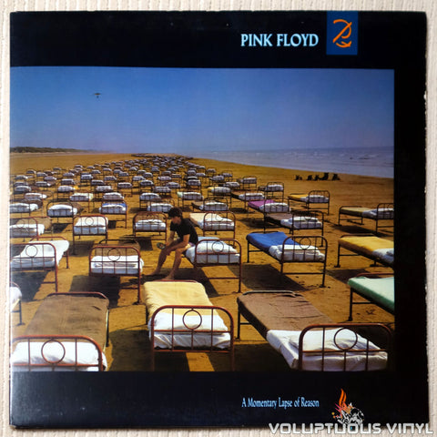 Pink Floyd ‎– A Momentary Lapse Of Reason - Vinyl Record - Front Cover